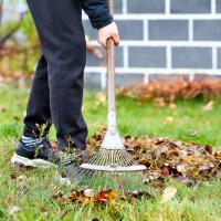 Raking Leaves