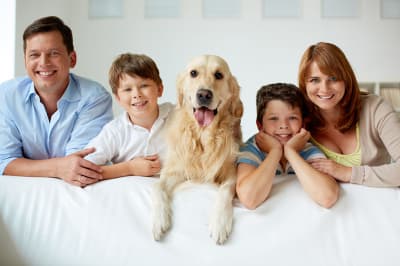 family-123rf-24985341_xl.jpg
